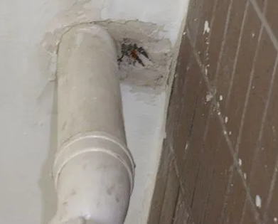 市中漏水检测哪家好